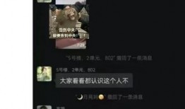 大瓜爆料视频曹县,揭秘大瓜爆料视频背后的真相