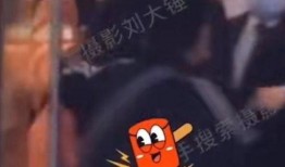 刘大锤爆料最新视频,热点事件背后惊人真相