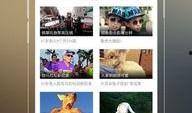 a高清在线观看网站,a网站在线观影指南