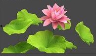 莲花m4爆料视频,豪华外观与性能兼备，颠覆传统轿车印象