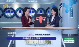 山东电视台公共新闻爆料,聚焦民生热点，揭示社会现象