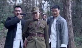 电视剧苍狼全集在线观看