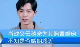 肖战妈妈爆料视频全集,揭秘明星家庭背后的真实生活