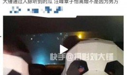 刘大锤爆料最新视频,热点事件背后惊人真相