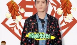 肖战妈妈爆料视频全集,揭秘明星家庭背后的真实生活