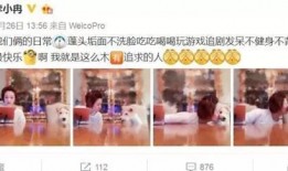 李小冉最新爆料谢娜微博,网友热议