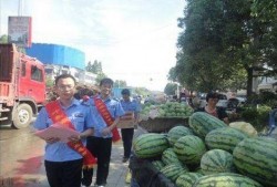 库尔勒吃瓜网红事件视频,一场网络狂欢背后的真相揭秘