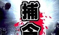 围捕在线观看,紧张刺激的在线悬疑大剧