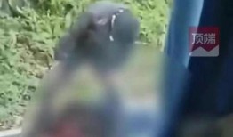 现场爆料丈夫被杀视频,丈夫惨遭杀害，视频揭露惊人真相