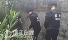 围捕在线观看,紧张刺激的在线悬疑大剧