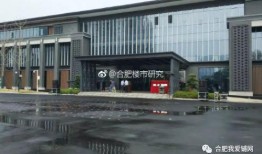 合肥爆料最新,揭秘城市热点事件背后的真相