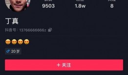 爆料博主揭秘视频下载安装,博主深度解析操作步骤与技巧
