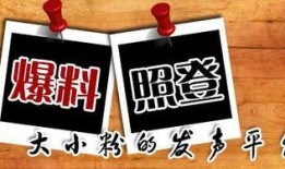 海南新闻爆料平台有哪些,聚焦岛城热点，共筑信息桥梁