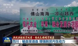 佛山大学爆料新闻事件,揭秘校园内幕引发社会关注